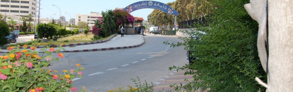 جامعة تشرين