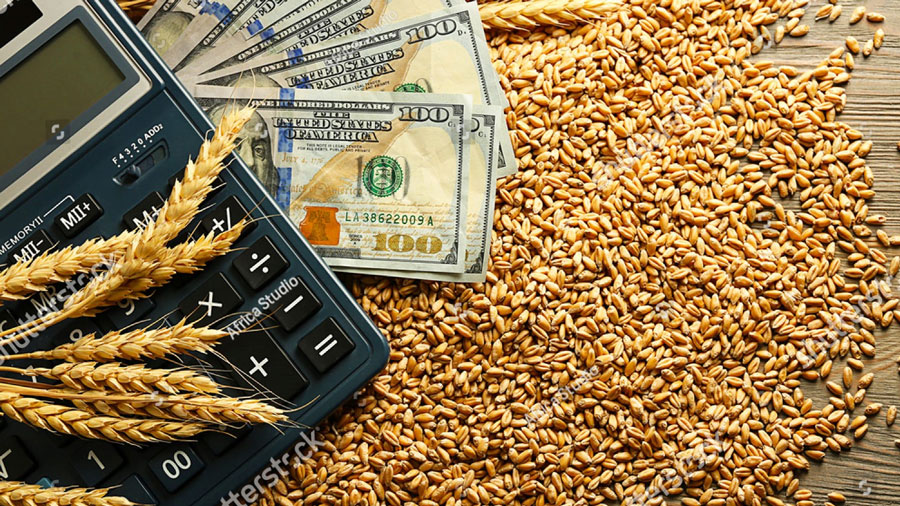 انفراجات الليرة بانتظار فواتير القمح.. الدولار يهبط إلى 139.75 فهل يكسر  عناد الأسواق؟ – صحيفة الوطن السورية