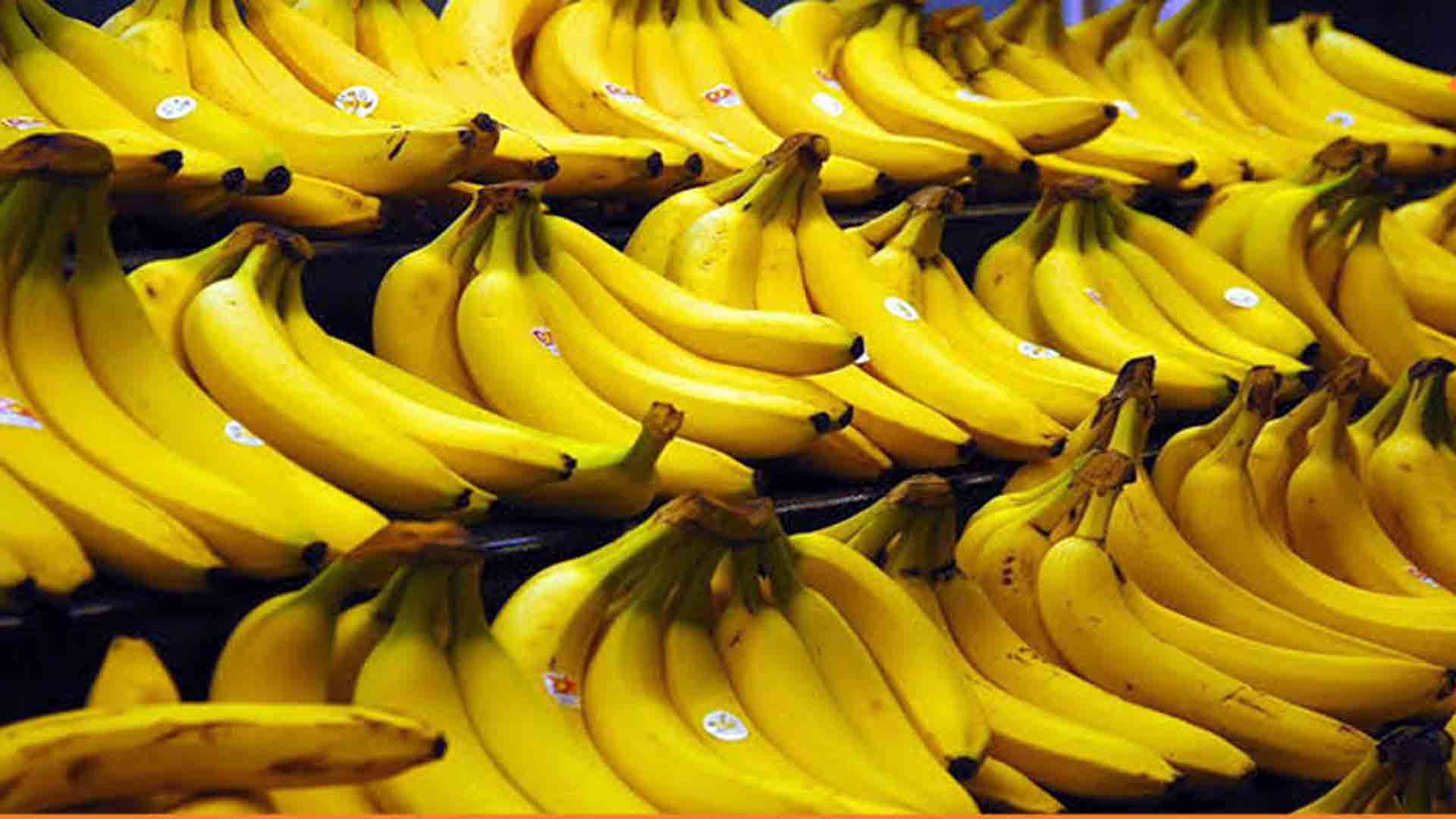 انخفاض الواردات يرفع سعر الموز.. وتوقعات بانخفاضه مع دخول الموز اللبناني