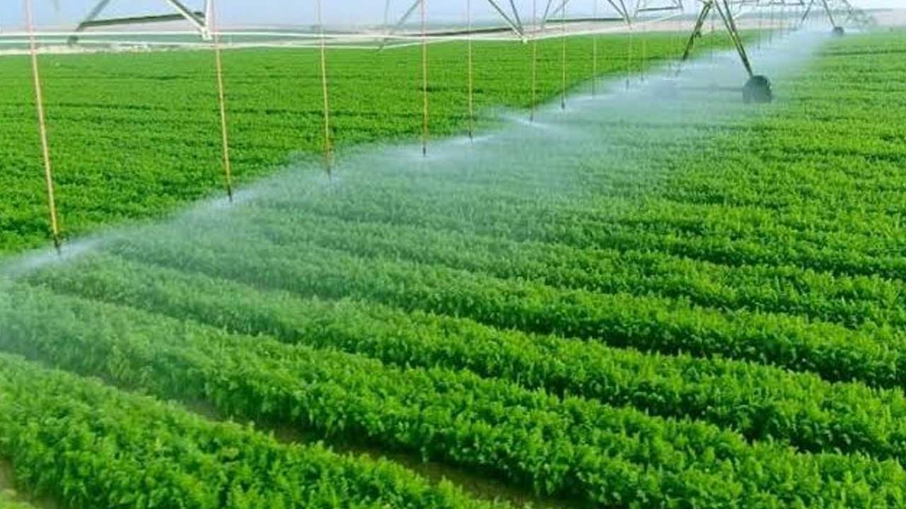 المازوت المدعوم .. تخفيض لتكلفة الزراعة وحماية للإنتاج