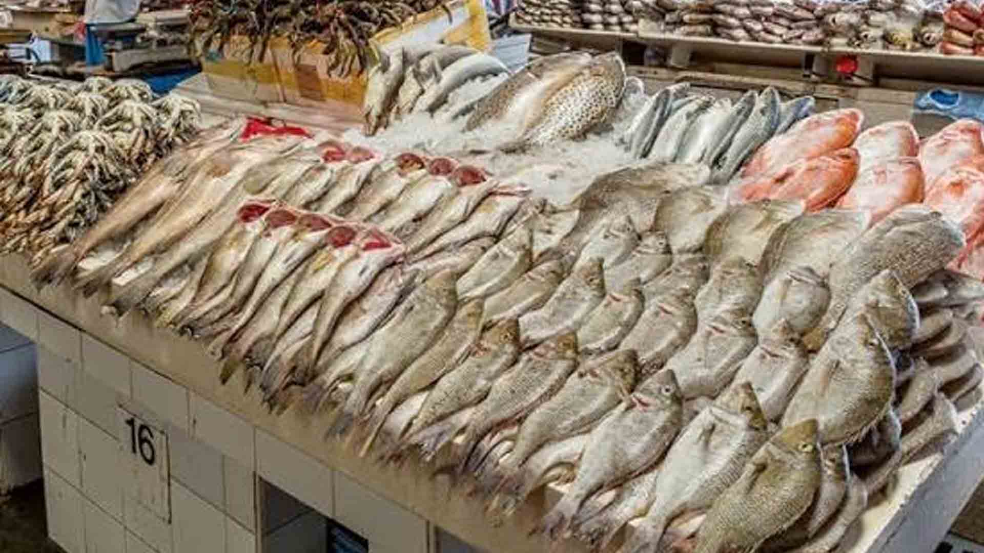 الاقتصاد الأزرق في سوريا.. ثروة خارج حسابات القيمة المضافة