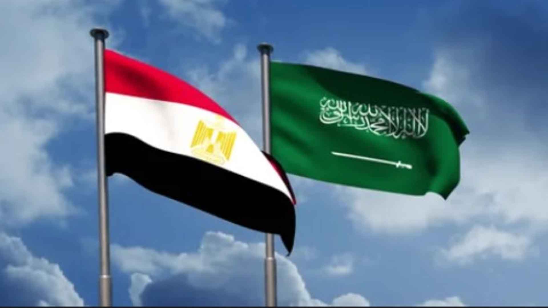مجلس الدفاع الوطني المصري يقرر “الوقوف التام وتقديم كل الدعم” للسعودية