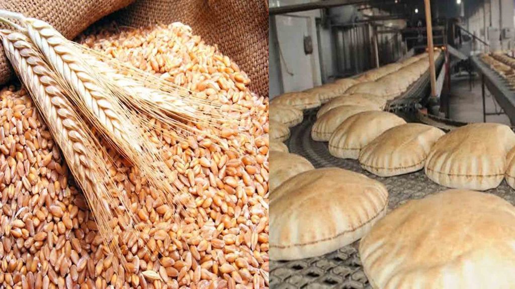 دعم الخبز والقمح 600 مليون دولار للصناعة.. ورهان على 600 ألف طن تخزين إضافي